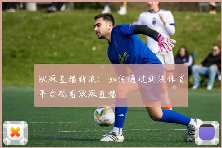 欧冠直播新浪:如何通过新浪体育平台观看欧冠直播