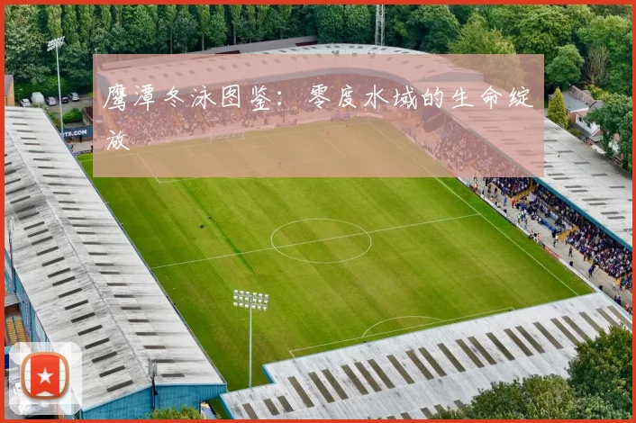 鹰潭冬泳图鉴：零度水域的生命绽放