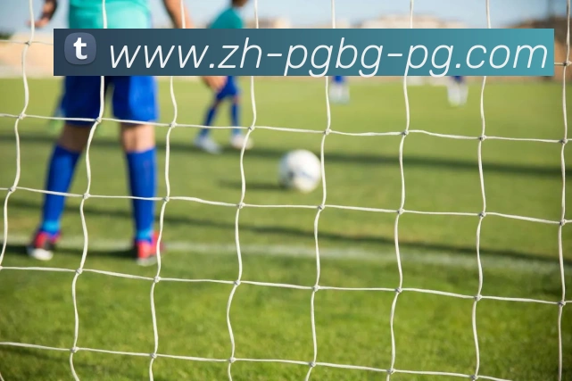 PG模拟器平台生态图