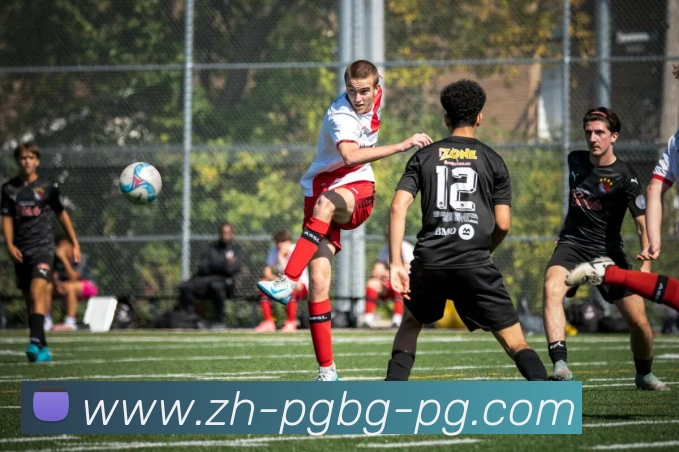 PG模拟器全站App PG模拟器全站App